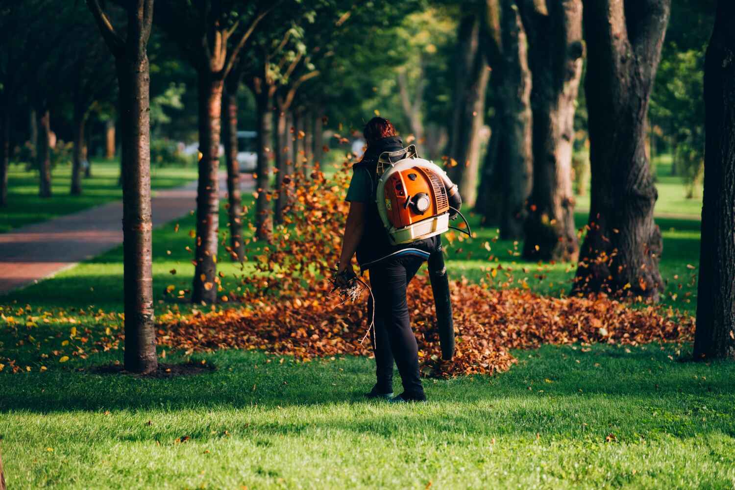 Tree Removal for Businesses